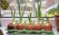 Как правильно выращивать зеленый лук на подоконнике?